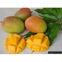 MANGO 5 X BUY