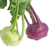 Kohl Rabi