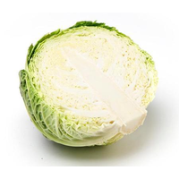 CABBAGE SAVOY