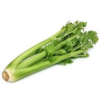 CELERY BUNCH ACO SA