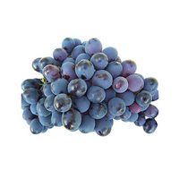 GRAPES BLACK MUSCAT