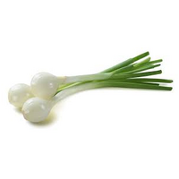 SPRING ONIONS